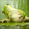 utomize's Avatar
