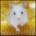 ozapedely's Avatar
