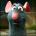 arihizo's Avatar